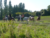 Les promenades